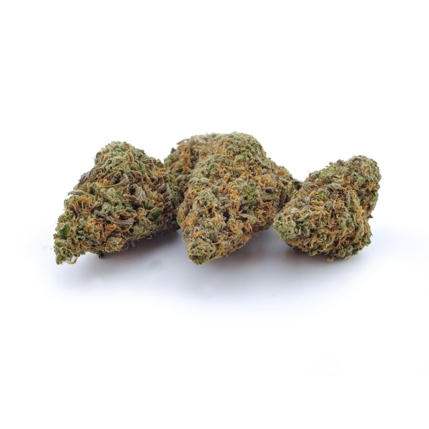 Lime Skunk for sale online