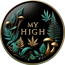 My High