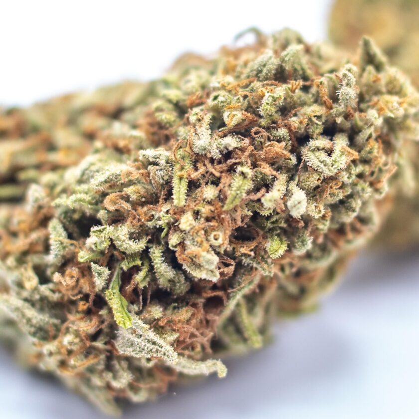 Seawarp Outdoor Special