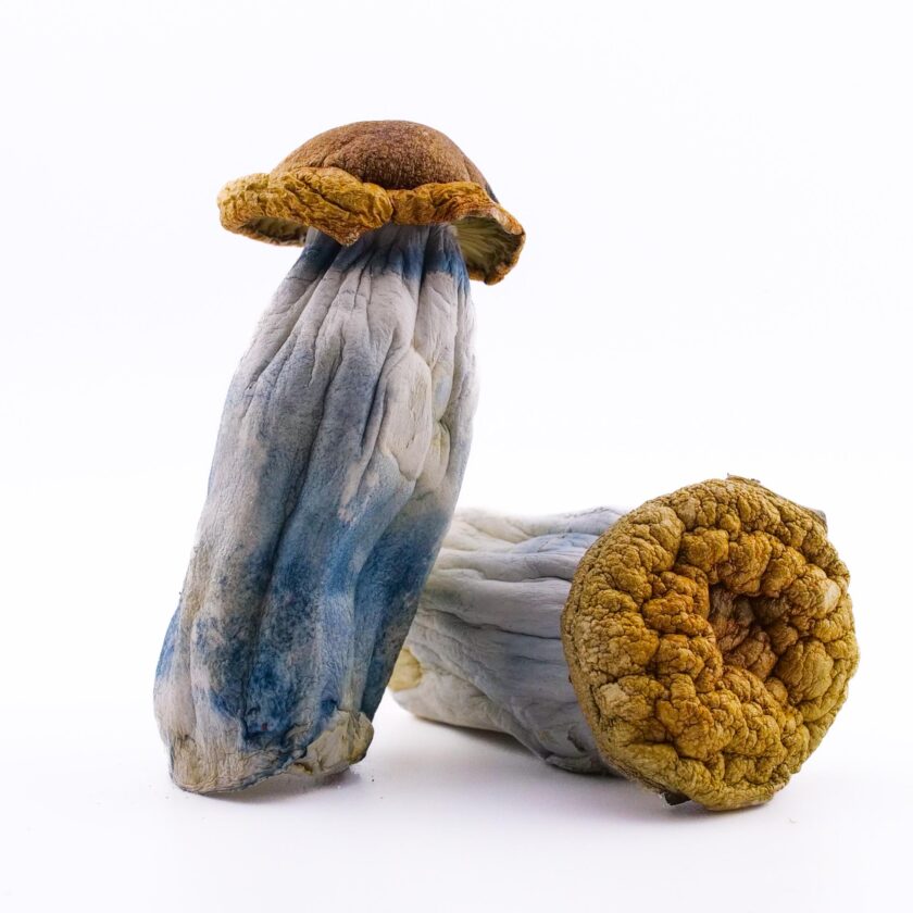 Penis Envy buy online
