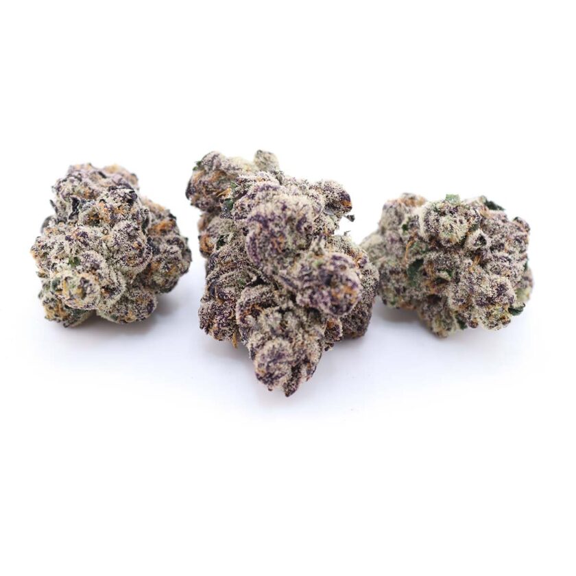 Purple Space Cookies Craft Weed Strain