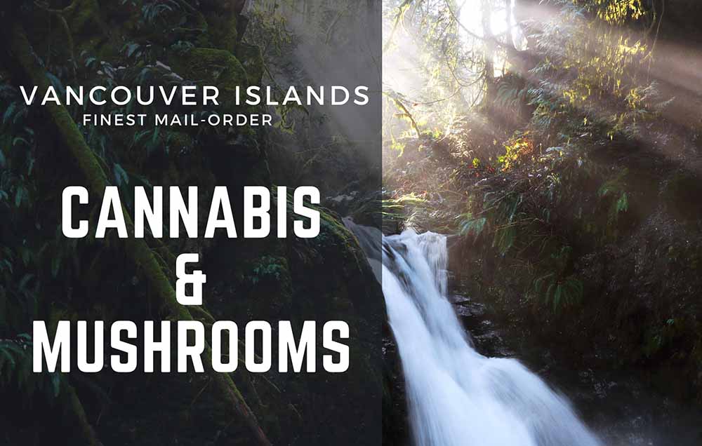 mobile - vancouver island online cannabis mushrooms