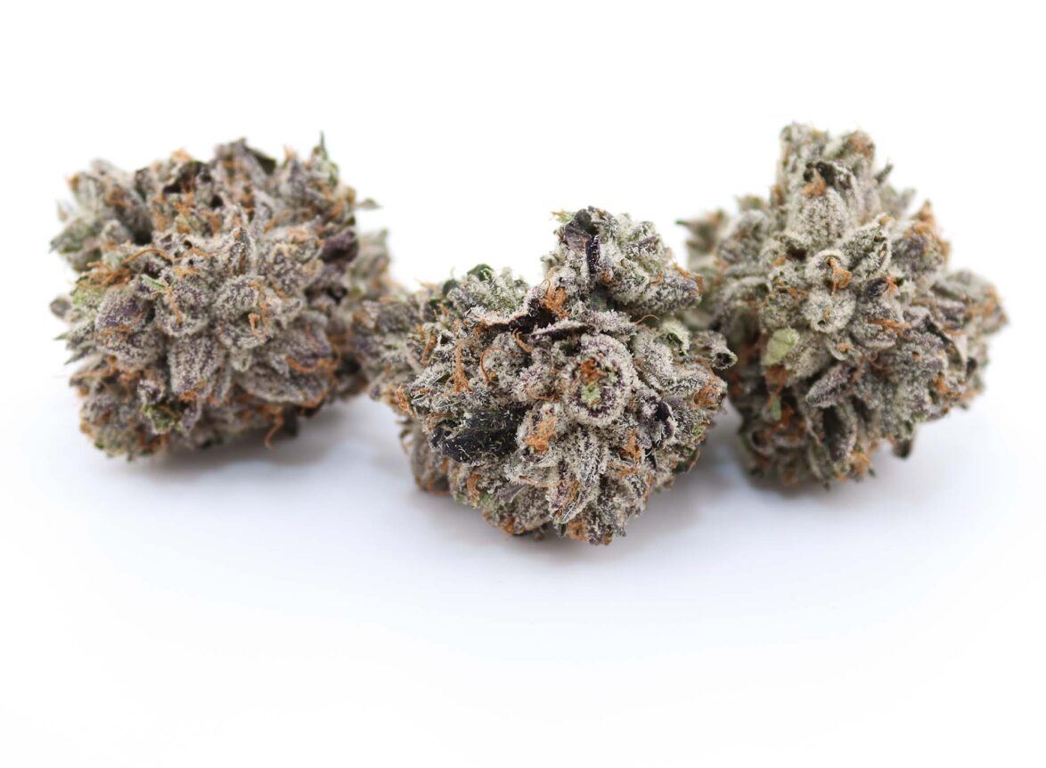 el jefe strain
