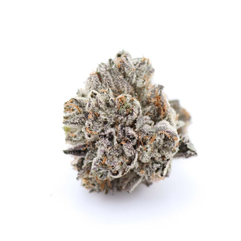 el jefe strain for sale