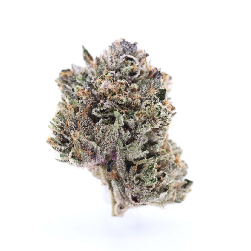 Doughboy Pink Flower AAAA for sale online canada