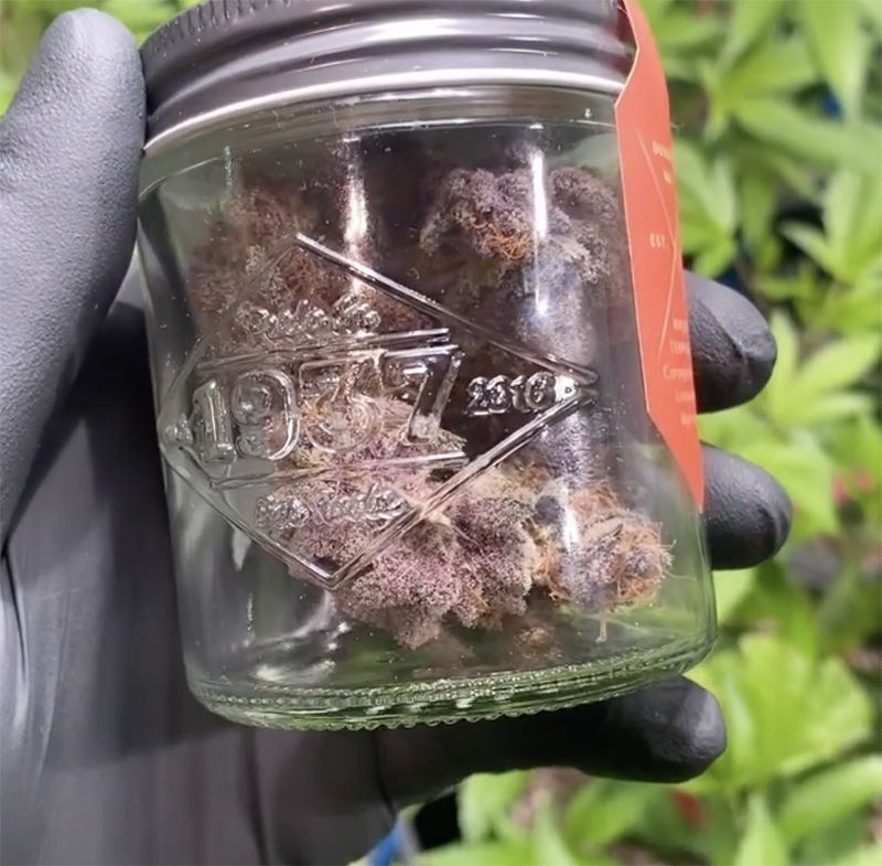 craft weed
