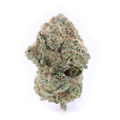 Candy Store (Budget Buds) Hybrid AA buy online