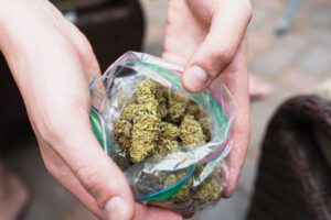 strong weed in canada