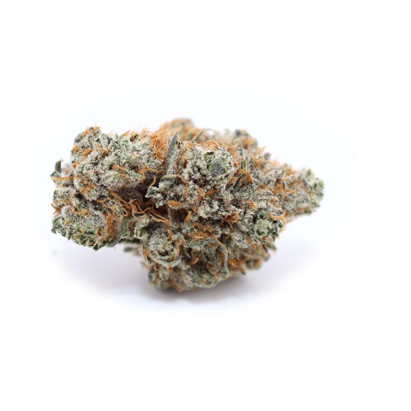 Red Congolese Sativa AAA