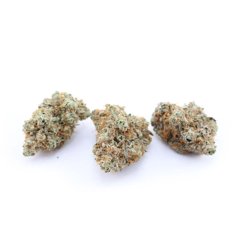 Red Congolese strain buy online