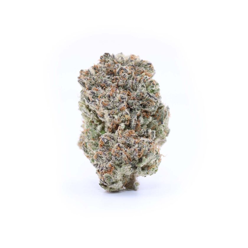 The Refresher AAA (Ethos Genetics) for sale