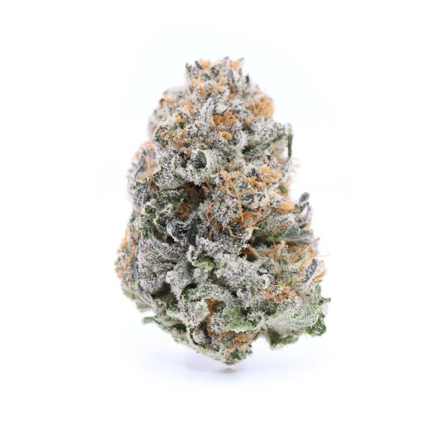 XXX strain Hybrid AAA(Ethos Genetics)