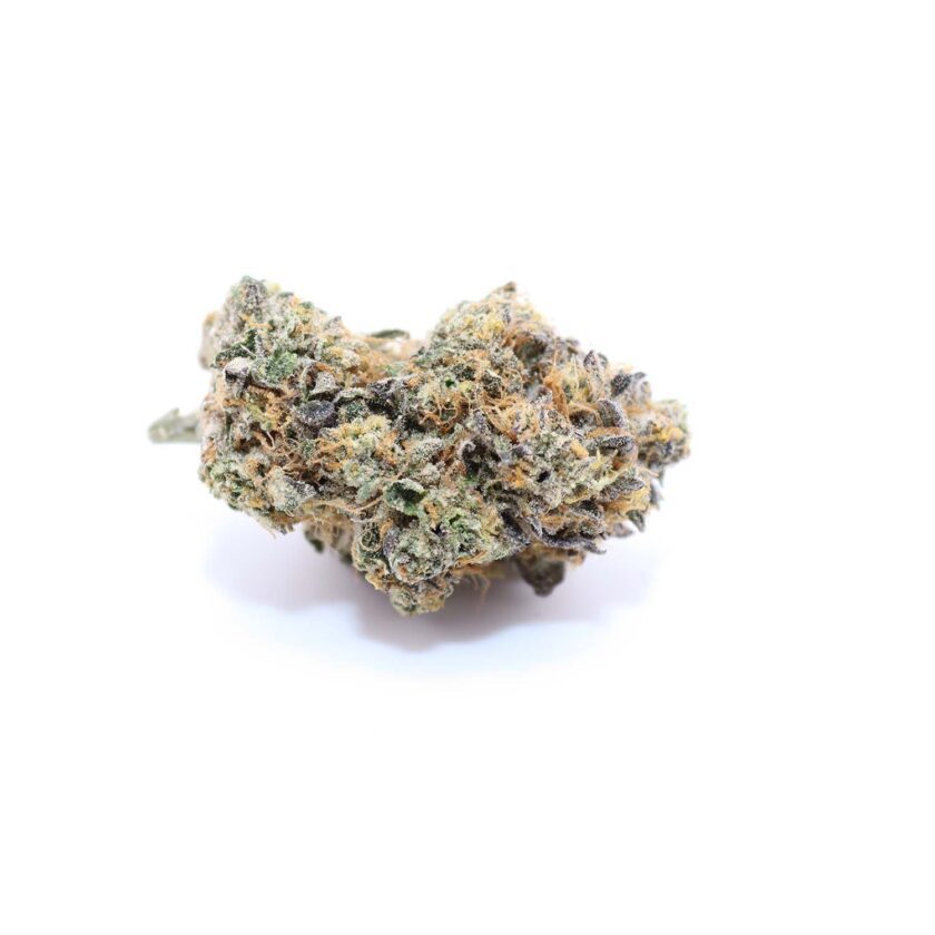 sherb quake for sale canada