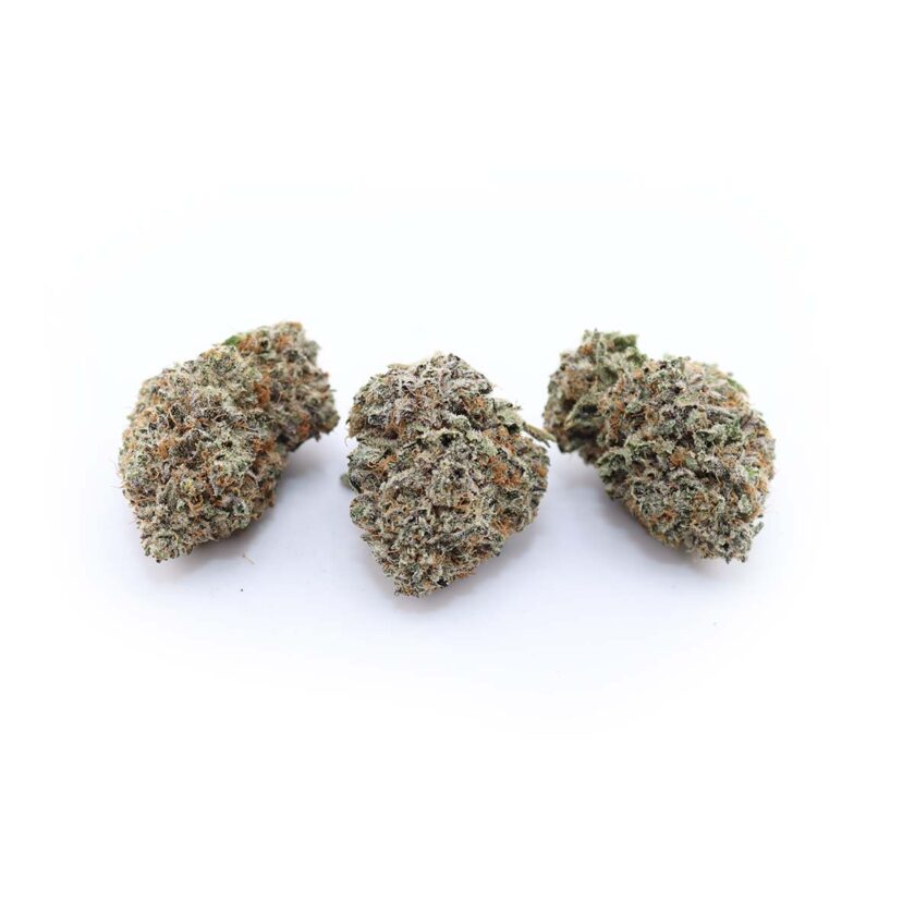 Blueberry Bubba Little island Craft for sale online