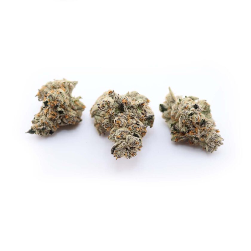 Fiji Sunset Hybrid AAA (Little IsIand Craft Farms) for sale