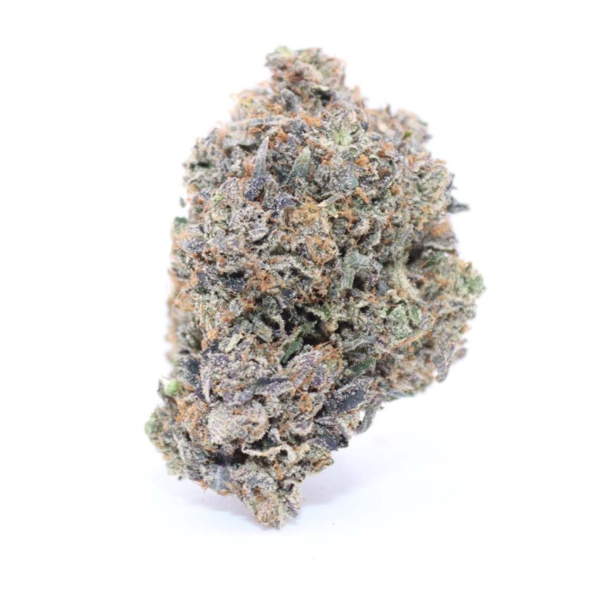 MKU Indica AAAA