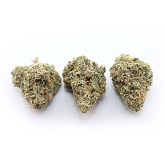 Blackout Bobby Indica