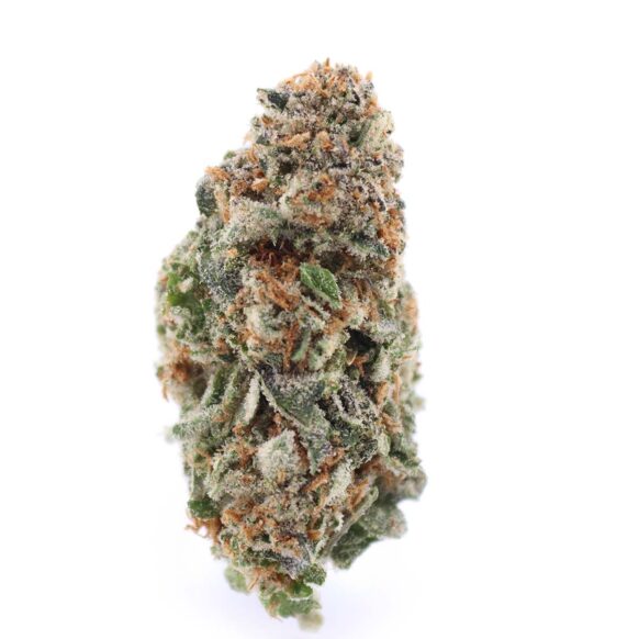 Gastro Pop Strain