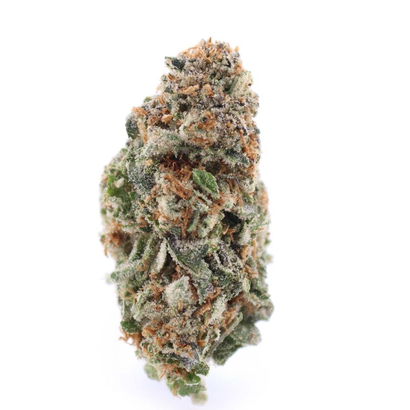 Gastro Pop Strain