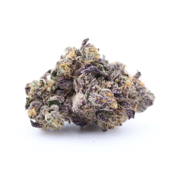 Jet Fuel Gelato - AAAA Hybrid