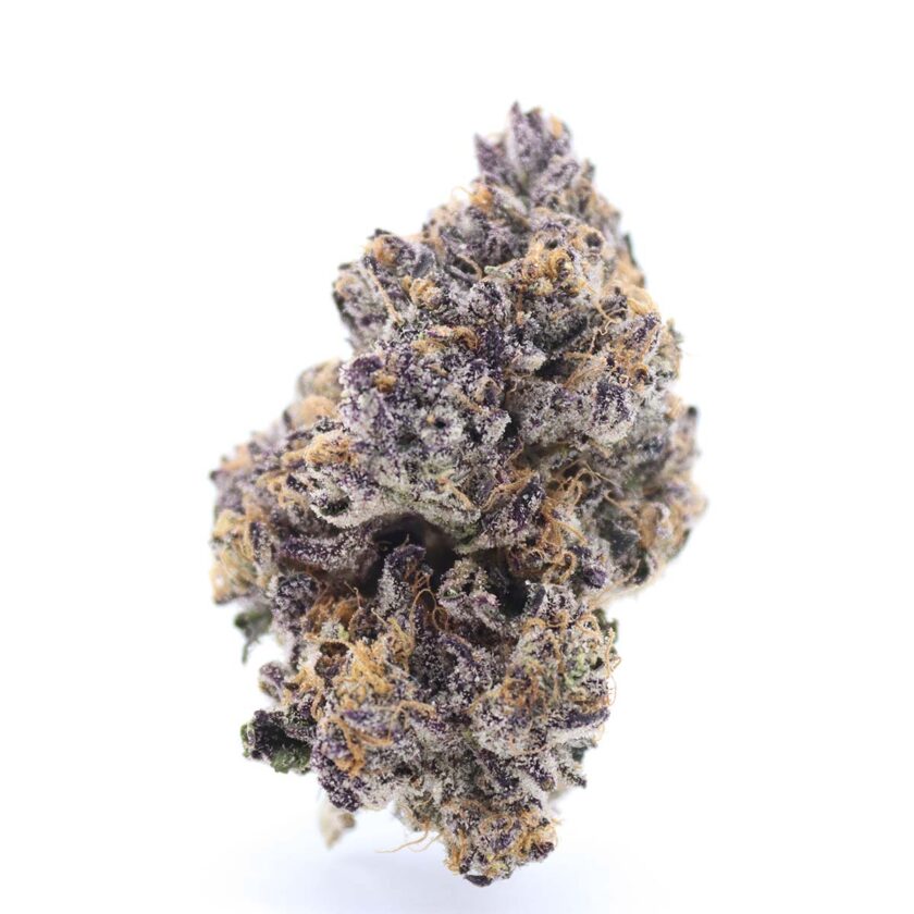 Jet Fuel Gelato - Space Farms AAAA Hybrid