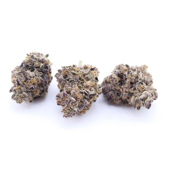 Jet Fuel Gelato Strain
