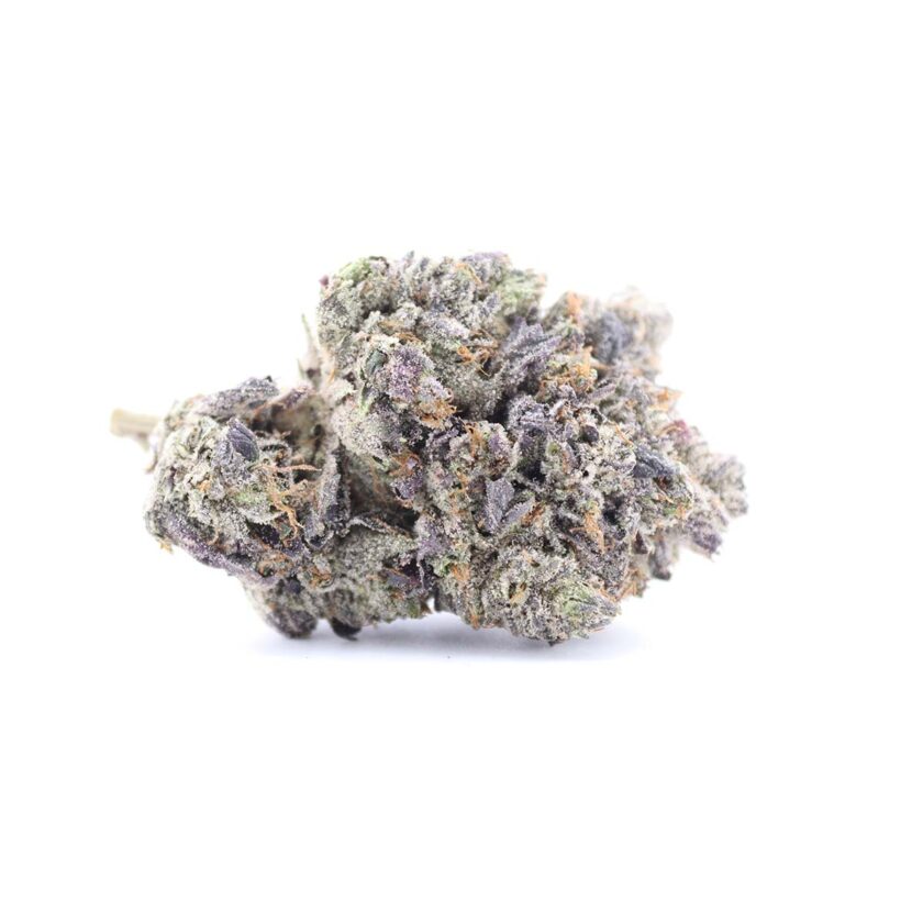 Bluefin Tuna Weed Strain Buy Online Canada