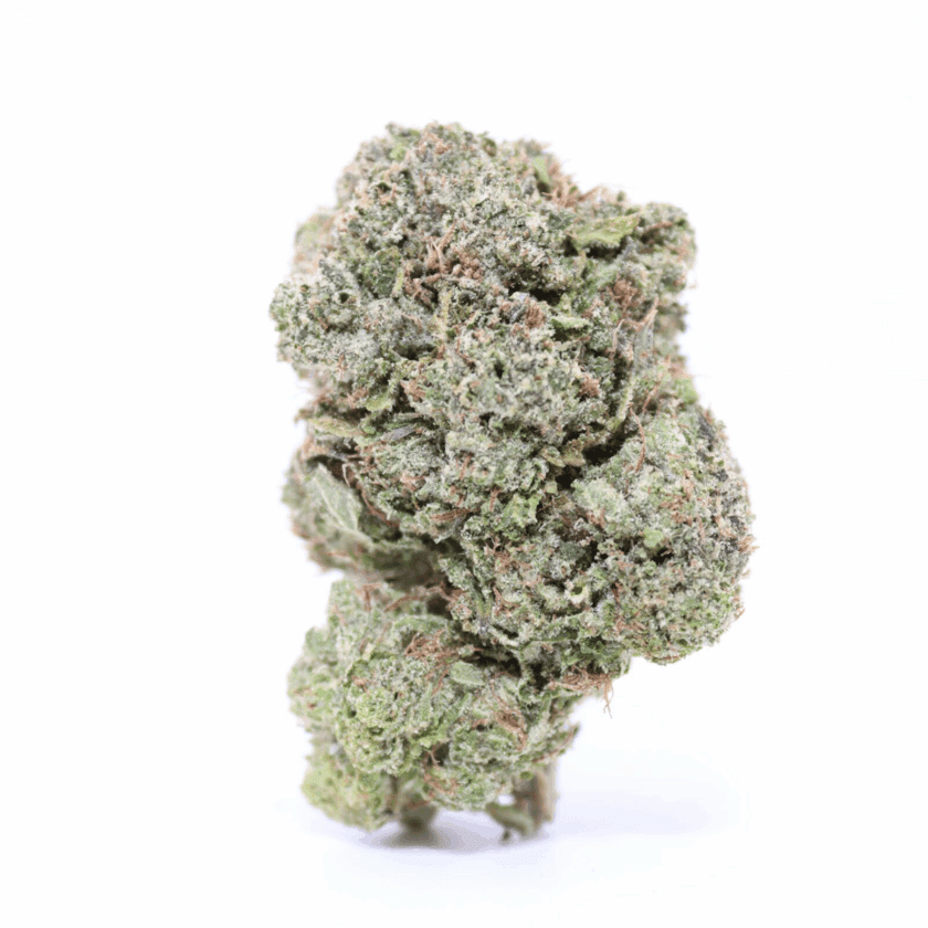 Pink Kush (Budget Buds) - Indica - AAA - Image 2
