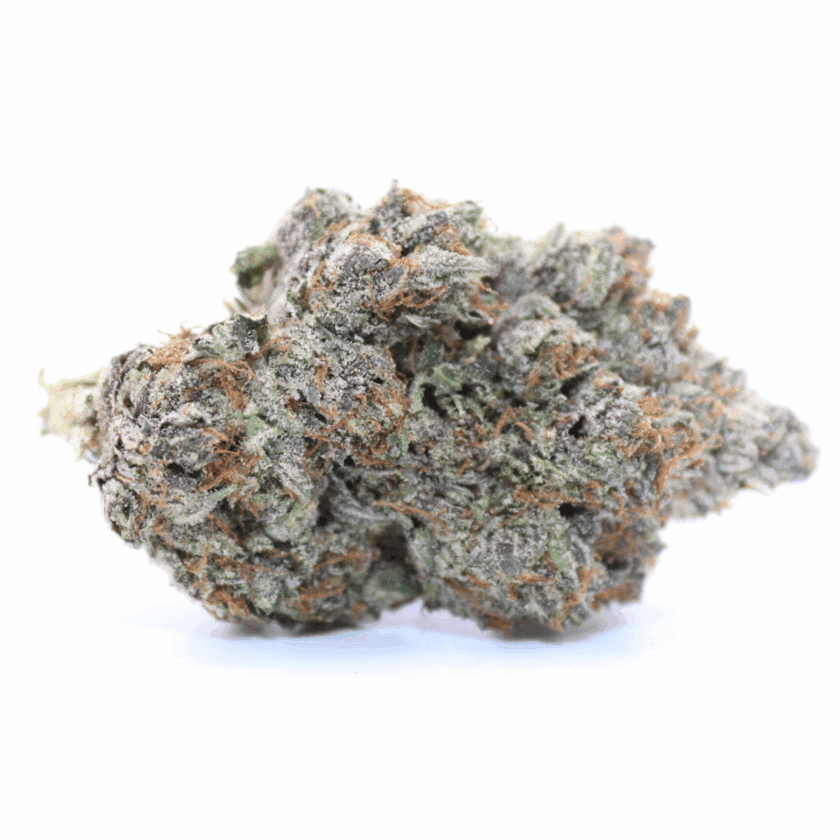 Coastal Pink Goo - Indica - AAAA - Image 2