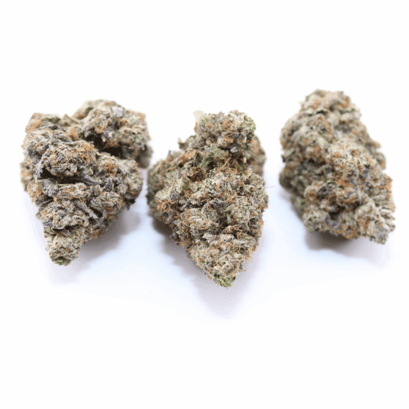 Coastal Pink Goo - Indica - AAAA - Image 3