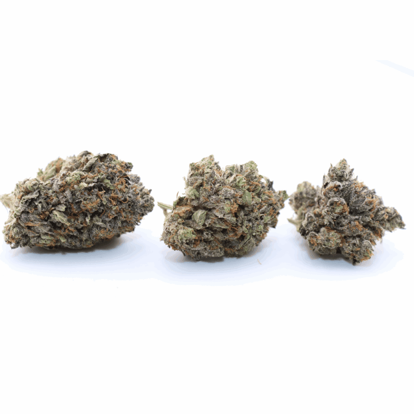 Rockstar Kush (Mediums) - Indica - AAAA - Image 2