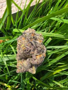 Buy Indica Weed Online