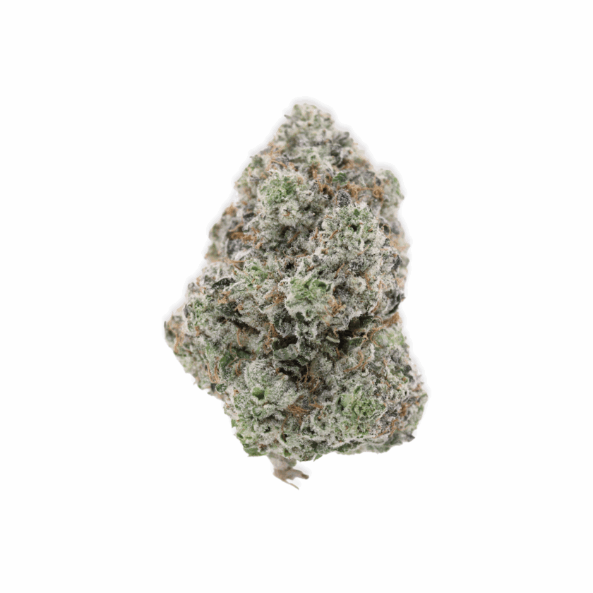 Purple Mimosa - Hybrid - AAA
